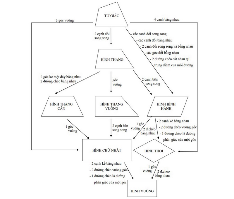 Sơ đồ tư duy toán 8 phần Tứ giác tham khảo