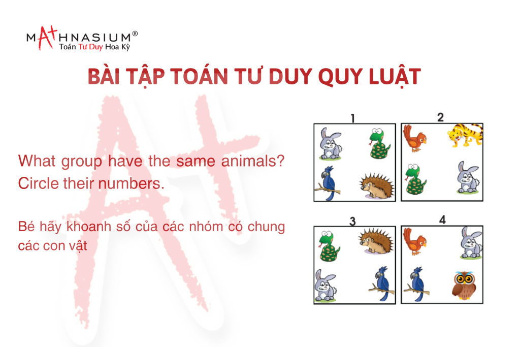 Bài tập Toán Tư duy quy luật