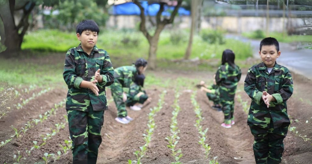 Trại hè ATY tập trung vào rèn luyện kỹ năng sống và phát triển thể chất cho trẻ